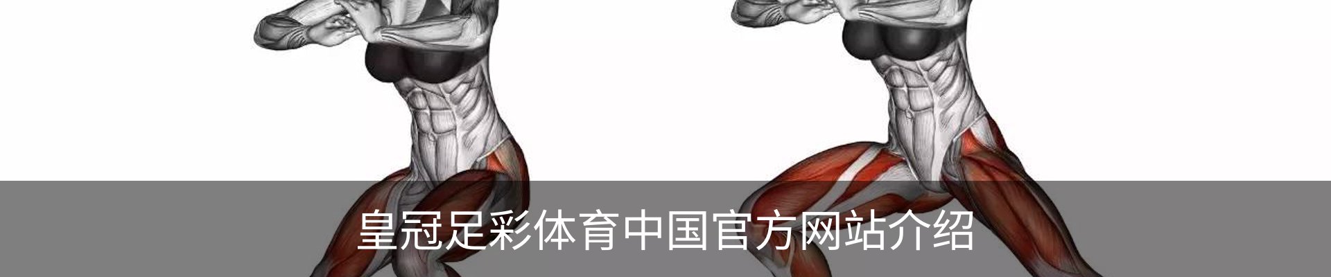 内页banner