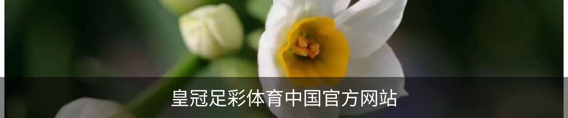 皇冠足彩体育中国官方网站